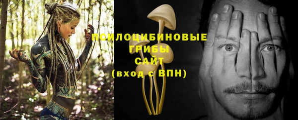 MDMA Медногорск