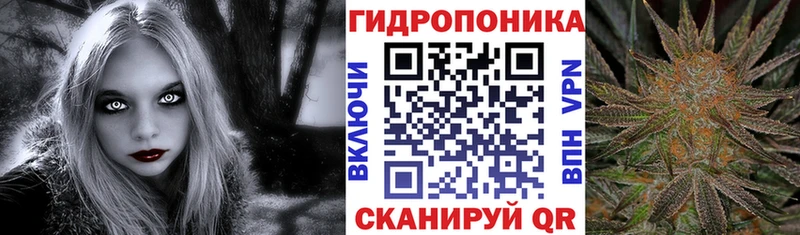 Бошки Шишки план Купить Андреаполь